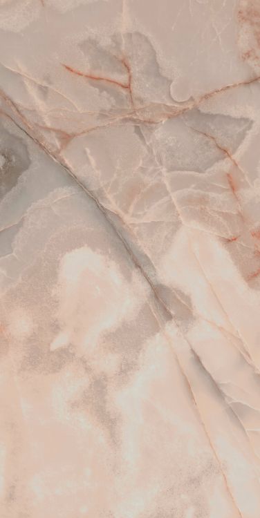 Reves Rose Matte 24 x 48